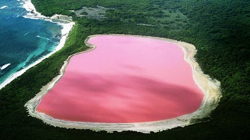 pink lake.jpg