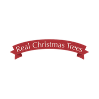 realchristmas trees