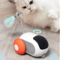 PetToysOnline