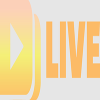 ddlivesite