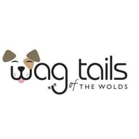 wagtailsofthe