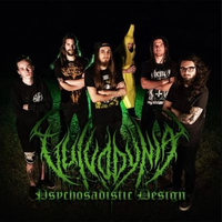 vulvodyniamerch