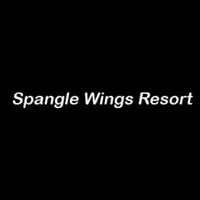 Spangle wings