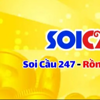 soi_cau_mb_247