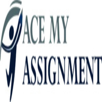 Ace My assignment 0