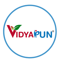 vidyapun