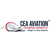 ceaaviation_