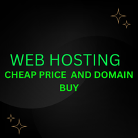 Web Hosting