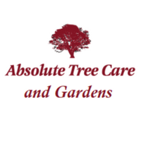 absolutetreecare