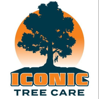 iconictreecare