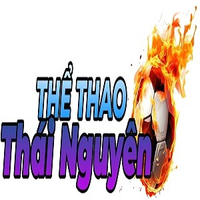 thethaothainguy