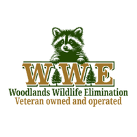 Woodlands Wildlife