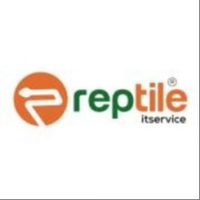 Reptile IT Service