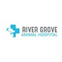 rivergroveanimal