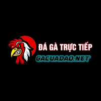 gacuadaonet gacuadaonet