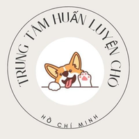 huanluyenchoq1 huanluyenchoq1