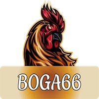 boga66casino boga66casino