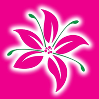 stmaartenflowers stmaartenflowers