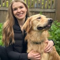 dogtrainer dogtrainer