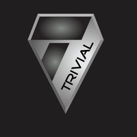 The Trivial Company The Trivial Company