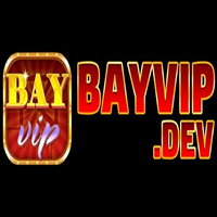 Bayvipdev Bayvipdev