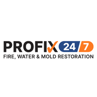 Profix Profix