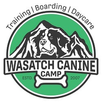 Wasatchcaninecamp Wasatchcaninecamp
