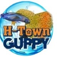 bettaaquaticusa bettaaquaticusa