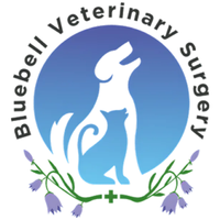 bluebellvetsuk bluebellvetsuk