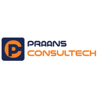 praansconsultech praansconsultech