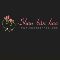 shopbanhoa shopbanhoa