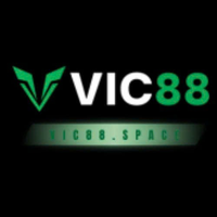 vic88space vic88space