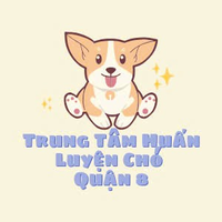 huanluyenchoq8 huanluyenchoq8