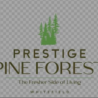 Prestige Pine Forest 0 Prestige Pine Forest 0