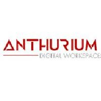 anthurium anthurium