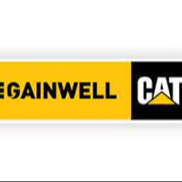 gainwell india gainwell india