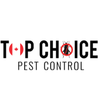 TopChoicePest TopChoicePest