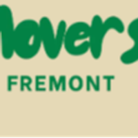 Movers In Fremont Movers In Fremont