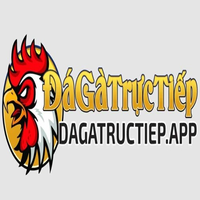 dagatructiepapp dagatructiepapp