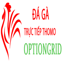 dagaoption dagaoption