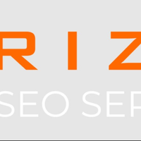 rizviseoservices rizviseoservices