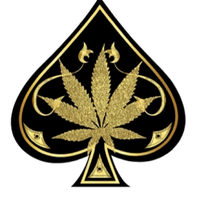 Ace ultra Premium