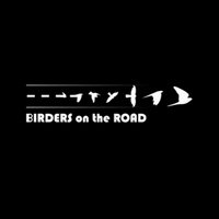 birdersontheroad birdersontheroad