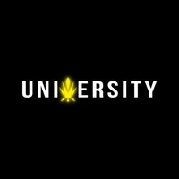 Trap University Trap University