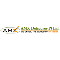 amx detective amx detective