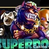 superdog superdog