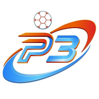 p3vin p3vin