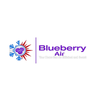 Blueberryair0 Blueberryair0