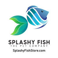Freshwater Plants Freshwater Plants