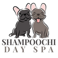 Shampoochidayspa Shampoochidayspa